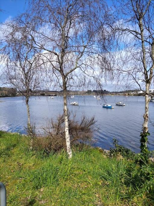 Apartament Belle Vue Scorff 1 Lorient Zewnętrze zdjęcie